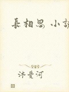 长相思 小说