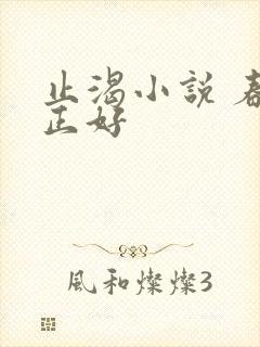 止渴小说 春光正好