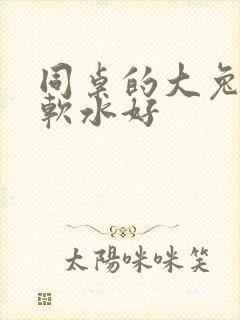 同桌的大兔子好软水好