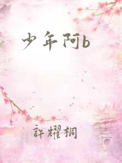少年阿b