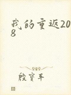 我的重返2008