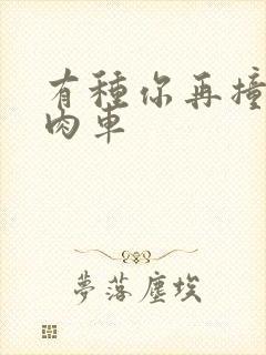 有种你再撞一下肉车