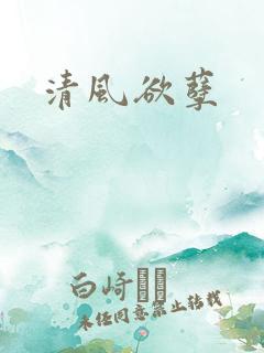 清风欲孽