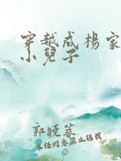 穿越成杨家将最小儿子