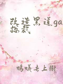 改造黑道gay总裁