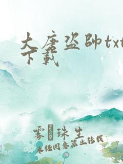 大唐盗帅txt下载