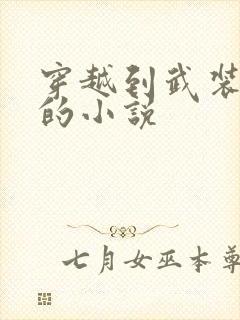 穿越到武装少女的小说