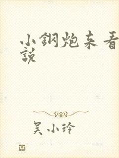 小钢炮来看我小说