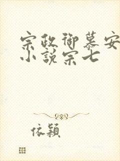 宗政御慕安安的小说宗七