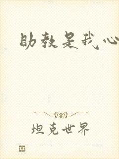 助教是我心尖宠