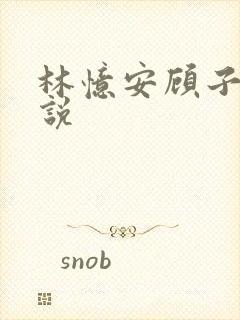 林忆安顾子铭小说