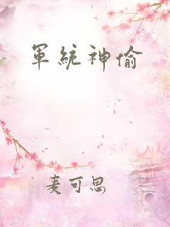 军统神偷