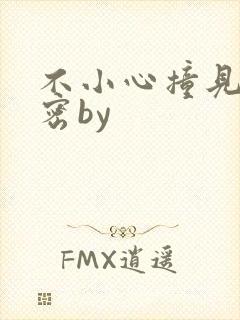 不小心撞见的秘密by