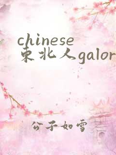 chinese东北人galore