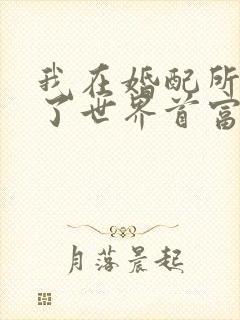 我在婚配所摇到了世界首富小说