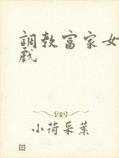 调教富家女小游戏