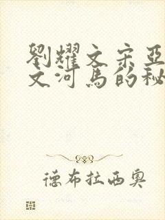 刘耀文宋亚轩车文河马的秘密河润滑油