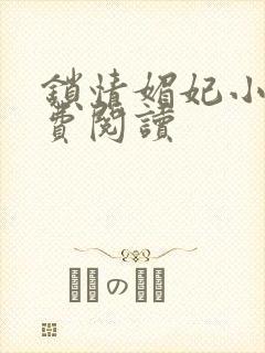 锁情媚妃小说免费阅读