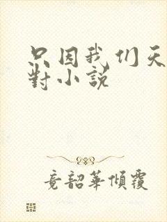 只因我们天生一对小说