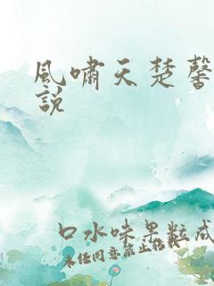 风啸天楚馨月小说