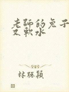 老师的兔子又大又软水