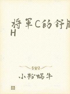 将军C的舒服么H