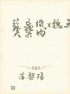 蓝忘机x魏无羡失禁肉