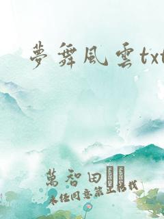 梦舞风云txt