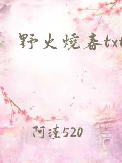 野火烧春txt
