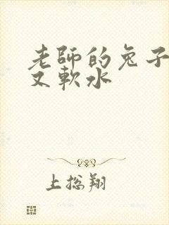 老师的兔子又大又软水