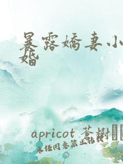 暴露娇妻小月新婚