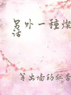 另外一种灿烂生活