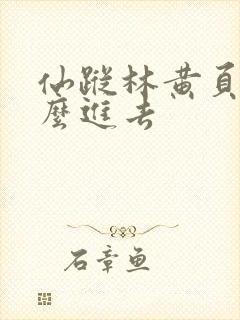 仙踪林黄页网怎么进去