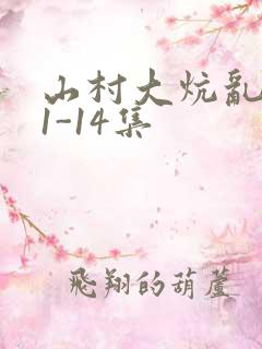 山村大炕乱肉续1-14集