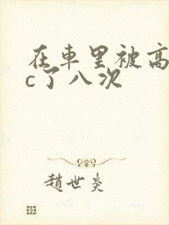 在车里被高潮被c了八次