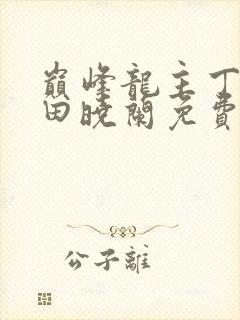 巅峰龙主丁长顺田晓兰免费阅读