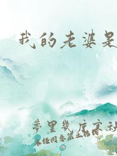 我的老婆是太妹