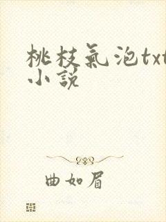 桃枝气泡txt小说