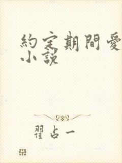 约定期间爱上你小说