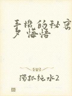 手机的秘密 七夕 悔悟