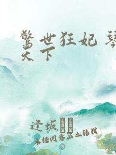 惊世狂妃 琴战天下