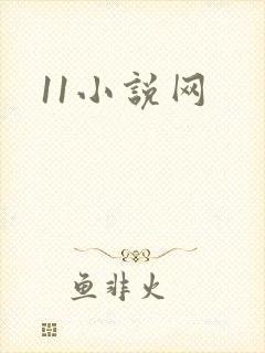 11小说网