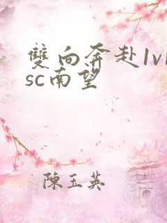 双向奔赴1v1sc南望