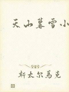 天山暮雪小说