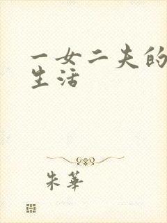 一女二夫的激情生活