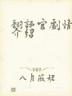 翻译官剧情分集介绍