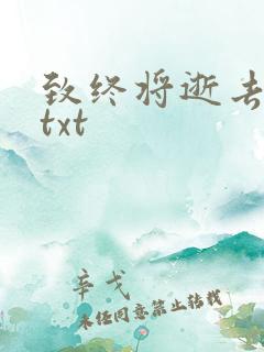 致终将逝去青春txt