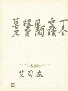 草根风云丁长生免费阅读全本