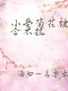 小受菊花被双龙合不拢