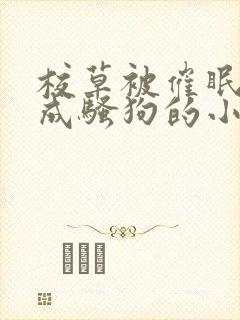 校草被催眠洗脑成骚狗的小说